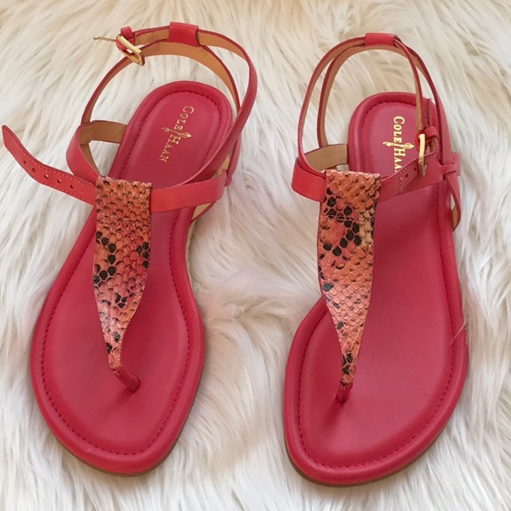 NWOTCole Haan Grove Snakeskin Sandal